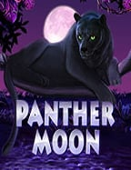 เกม ไพ่ สล็อตดาวน์โหลด slotxo slotxo download สนุกสุดมัน