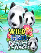 hack เงิน ใน เกม สล็อต สุดมันส์กับ Jili