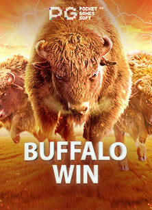 แทง บอล ออนไลน์ ufabet รับประสบการณ์เดิมพันที่ไม่เหมือนใคร